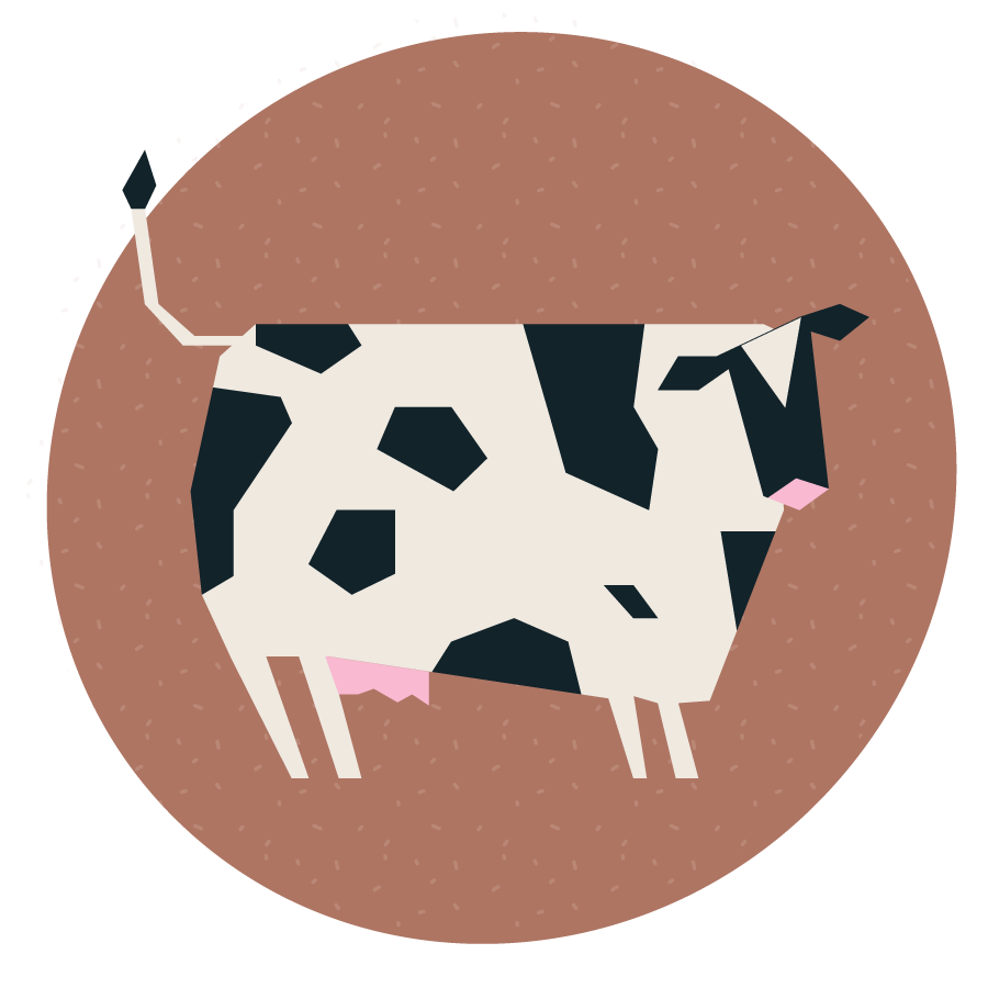 Cow